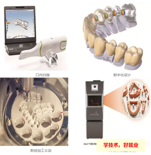 广州白云工商技师学院数字化口腔技术专业