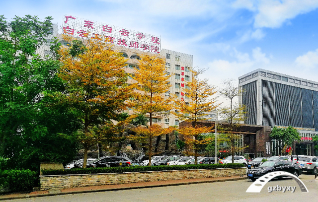 2023初中女生学点什么好(初中女生学什么好就业)插图